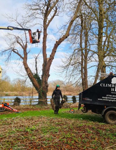 Man in cherry picker lift cutting tree branches