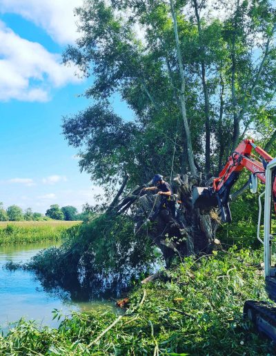 Man cutting down branches of tree next to river