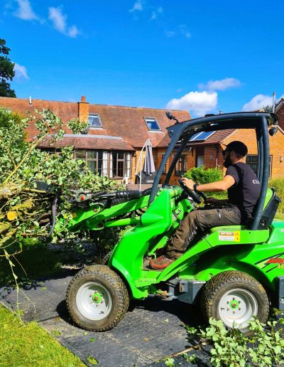 Man in forklift removing tree branches