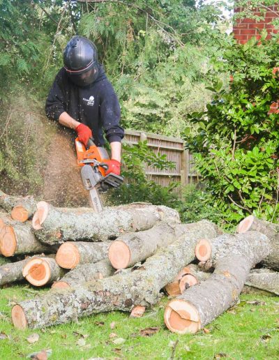 Man with chainsaw cutting tree branches