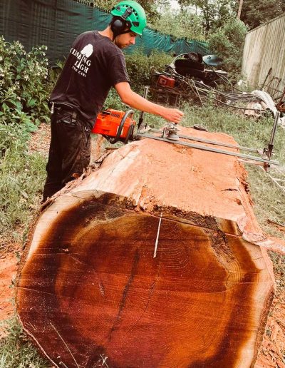 Man using heavy machinery to cut tree trunk
